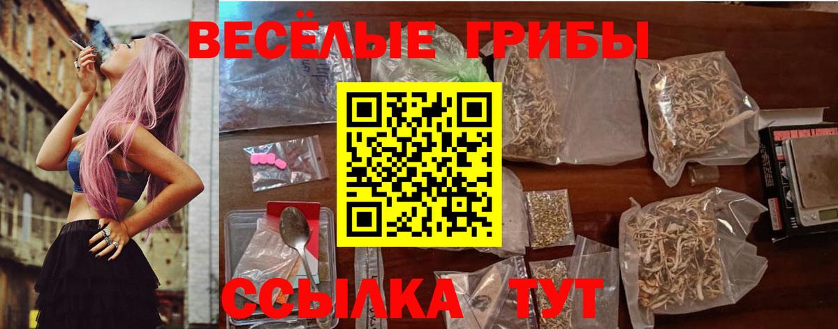 Галлюциногенные грибы мицелий  Галлюциногенные грибы Cubensis  Красный Сулин  Вход с VPN 